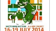 Cricket Sixes