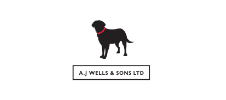 AJ Wells sponsor of Ventnor RFC