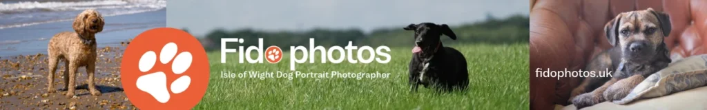 Isle of Wight dog photographer Fido Photos